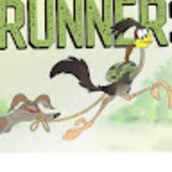 roadrunner16243